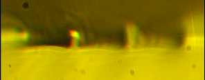Microscope view of the PPLN chip's edge, with light coupled into one waveguide